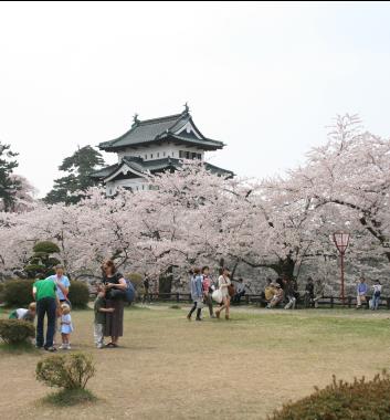 弘前公園是著名的賞櫻景點