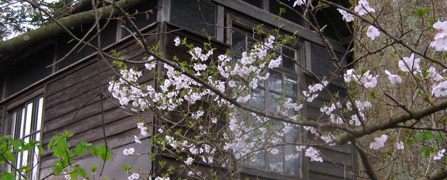 秋田角館武家屋敷