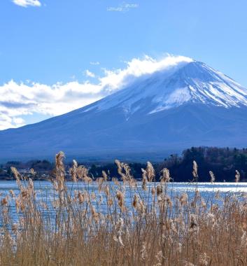 河口湖畔大石公園