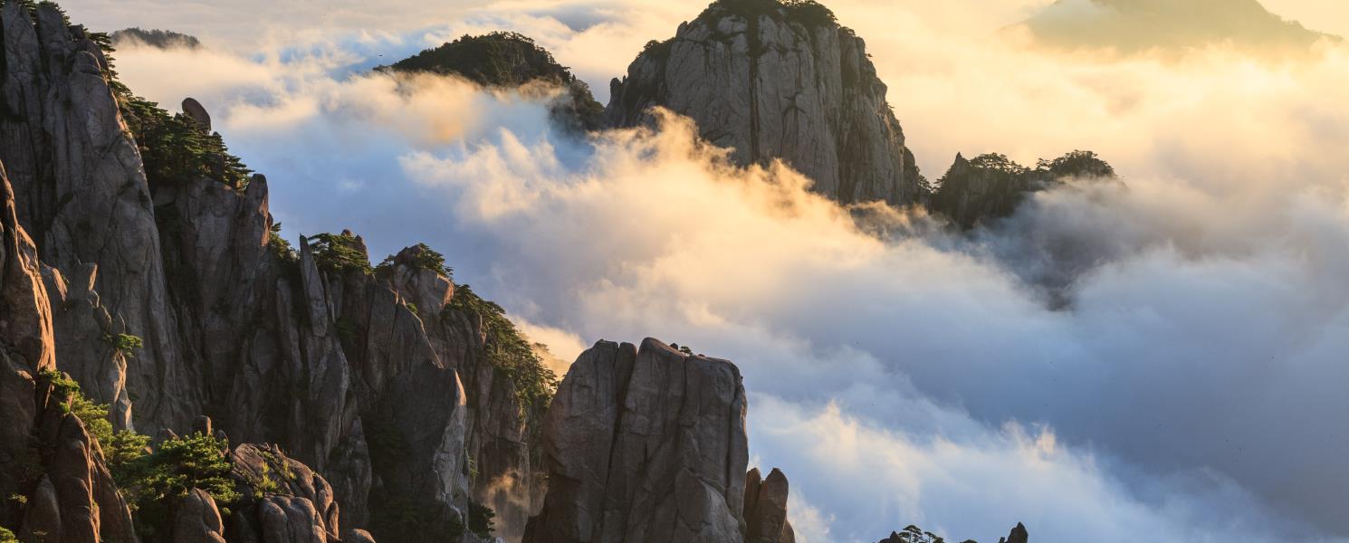 黃山四絕看門道～雲海