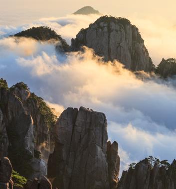 黃山四絕看門道～雲海