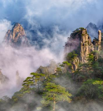 黃山四絕看門道~雲海