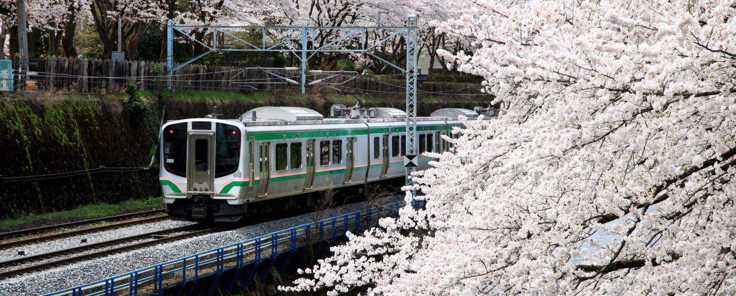 山形鐵道賞花長井線