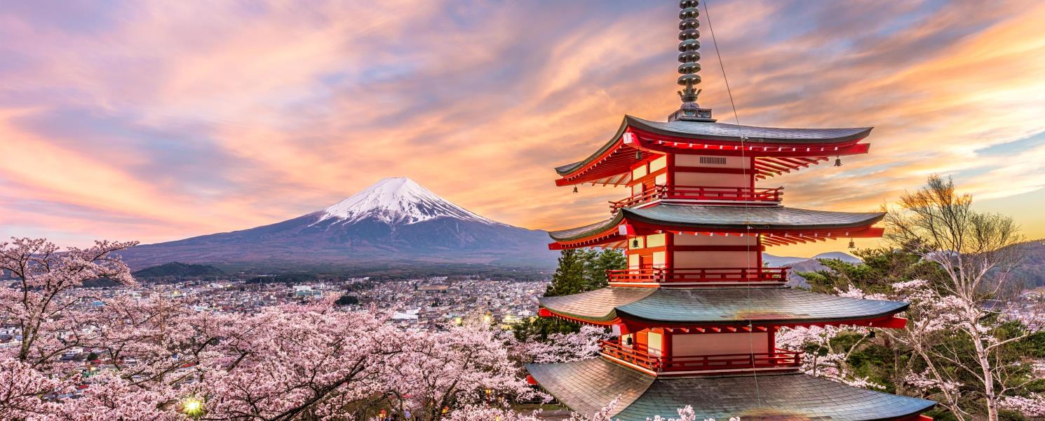 新倉山淺間神社賞櫻