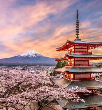 新倉山淺間神社賞櫻