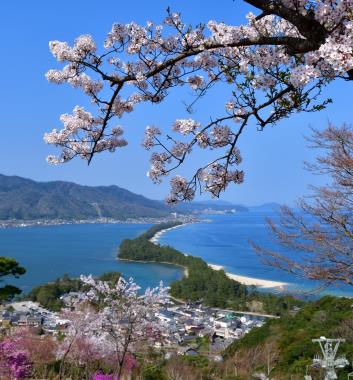 日本三景之一天橋立