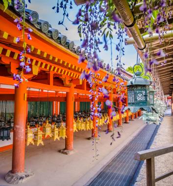 日本三大神社－春日大社