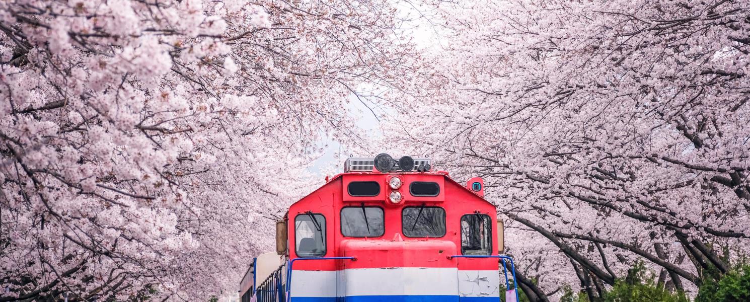 「花」樣年華～慶和火車站