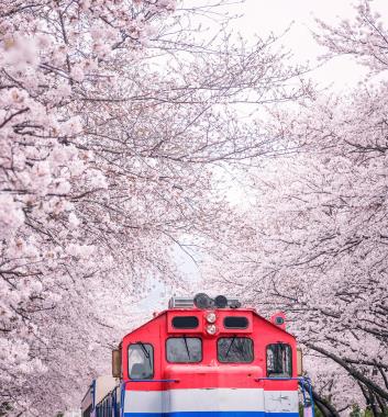 「花」樣年華～慶和火車站