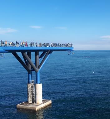 釜山必來景點青沙浦天空步道