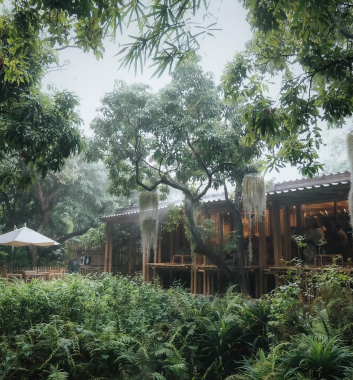 曼谷百年綠洲果園