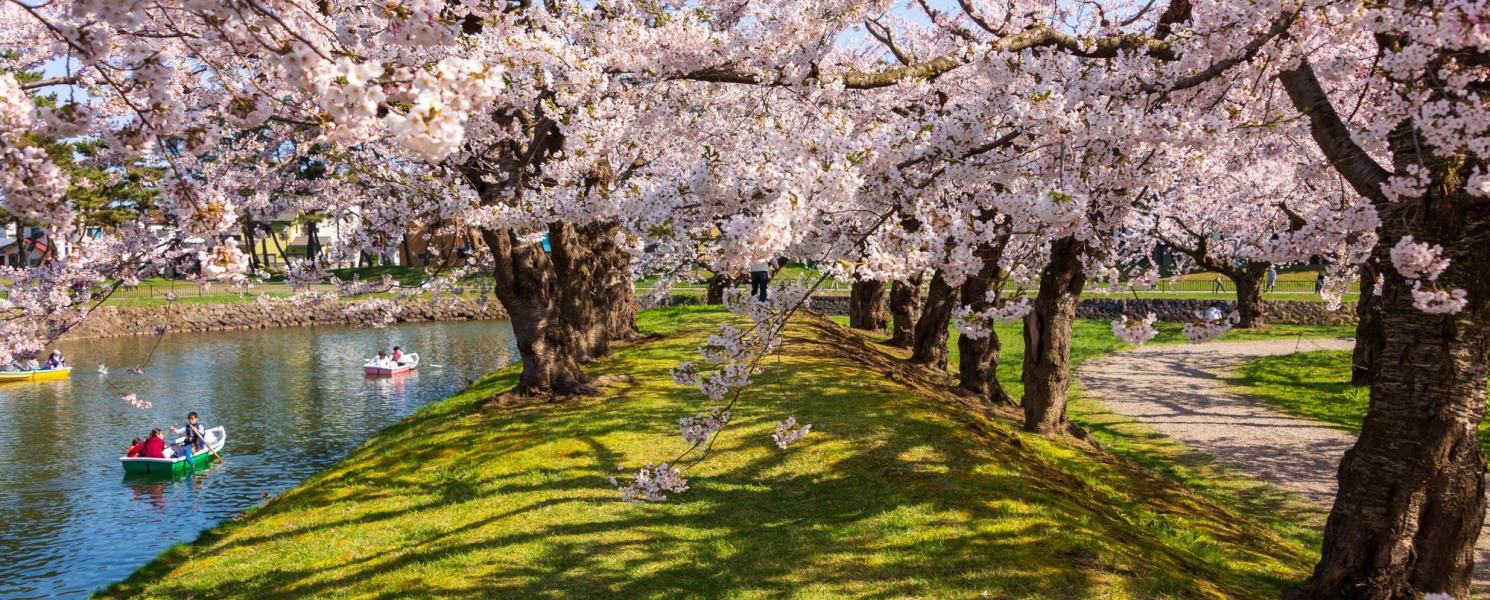 五稜郭公園　　　