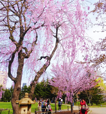 札幌中島公園    