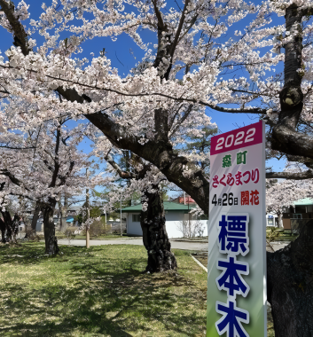 青葉之丘公園    