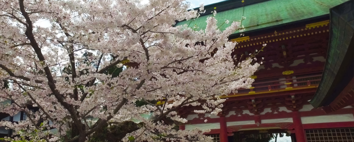 重要文化財～鹽竈神社