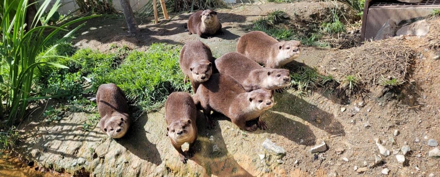 行程特色圖片