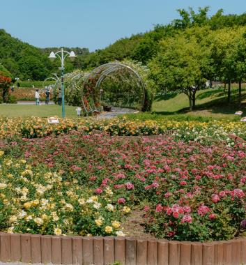 四季皆可賞花～蔚山大公園