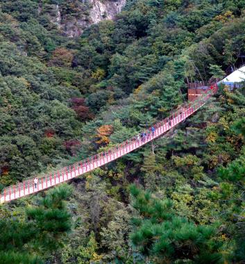 超吸睛～紺岳山吊橋 