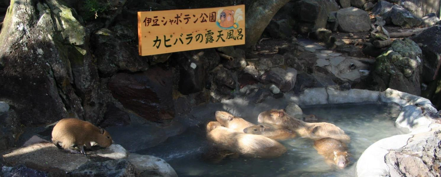 行程特色圖片