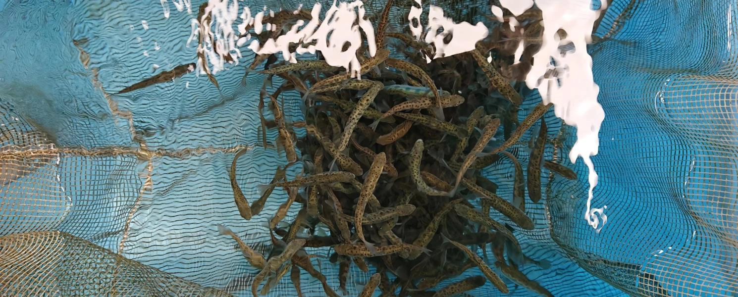 行程特色圖片